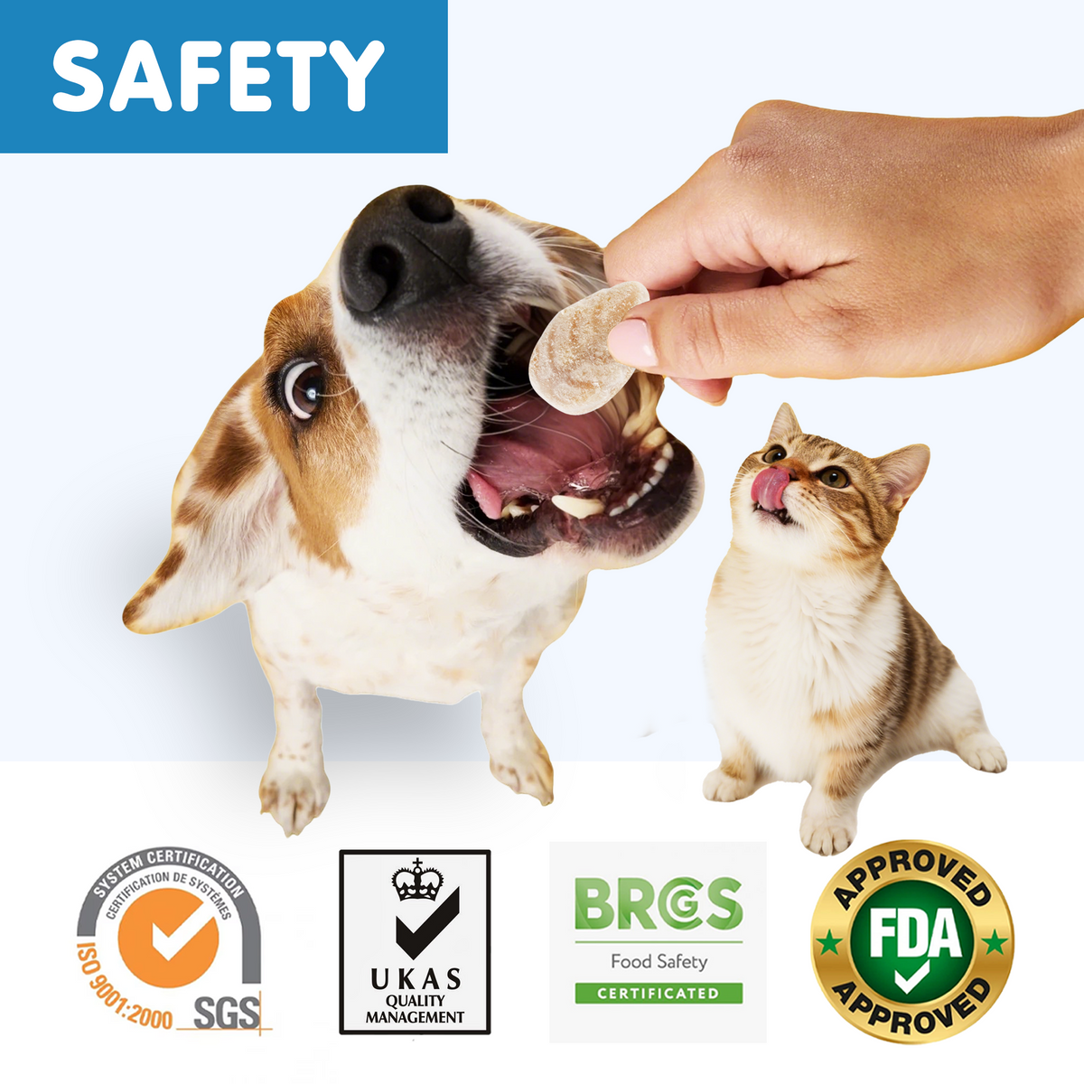 TUGLET Freeze-Dried Chicken Leaf Dental Chews Dog & Cat Treat, Cleans Teeth & Reduces Tartar, Freshens Breath, High Protein Treat for Small Medium Large Dogs & Cats, 5.3 oz Bag
