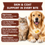 PAWUP Steamed Chicken Wet Food Tooper Dog & Cat Treat - Only 4 Ingredients, Skin & Coat Support, Low Fat Soft Wet Treats for Puppies, Kittens & Senior Pets, 8 Count, 8.5 oz Bag