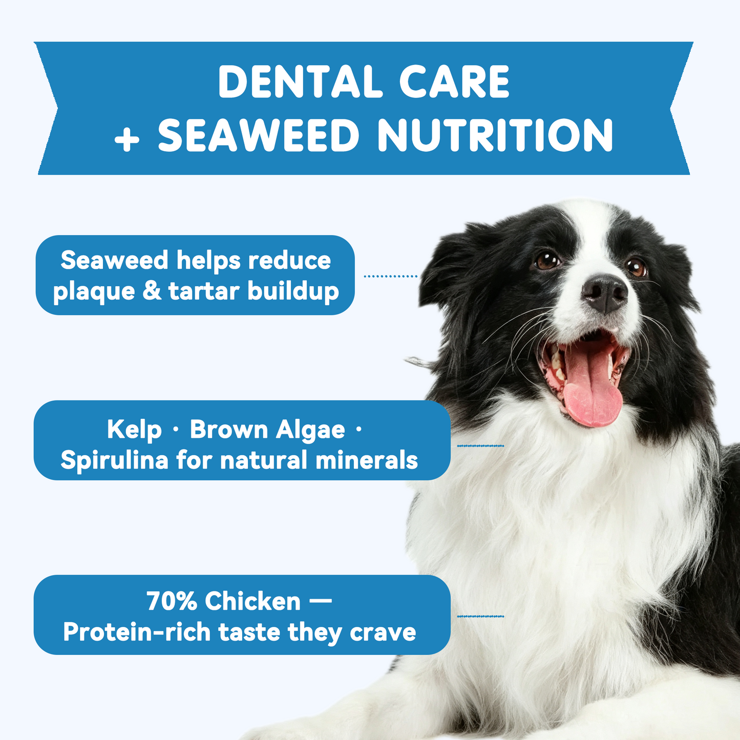 TUGLET Freeze Dried Dog Dental Chews, Real Chicken with Kelp & Seaweed for Plaque & Tartar Removal, Natural Teeth Cleaning Treats for All Dogs, 3.6 oz