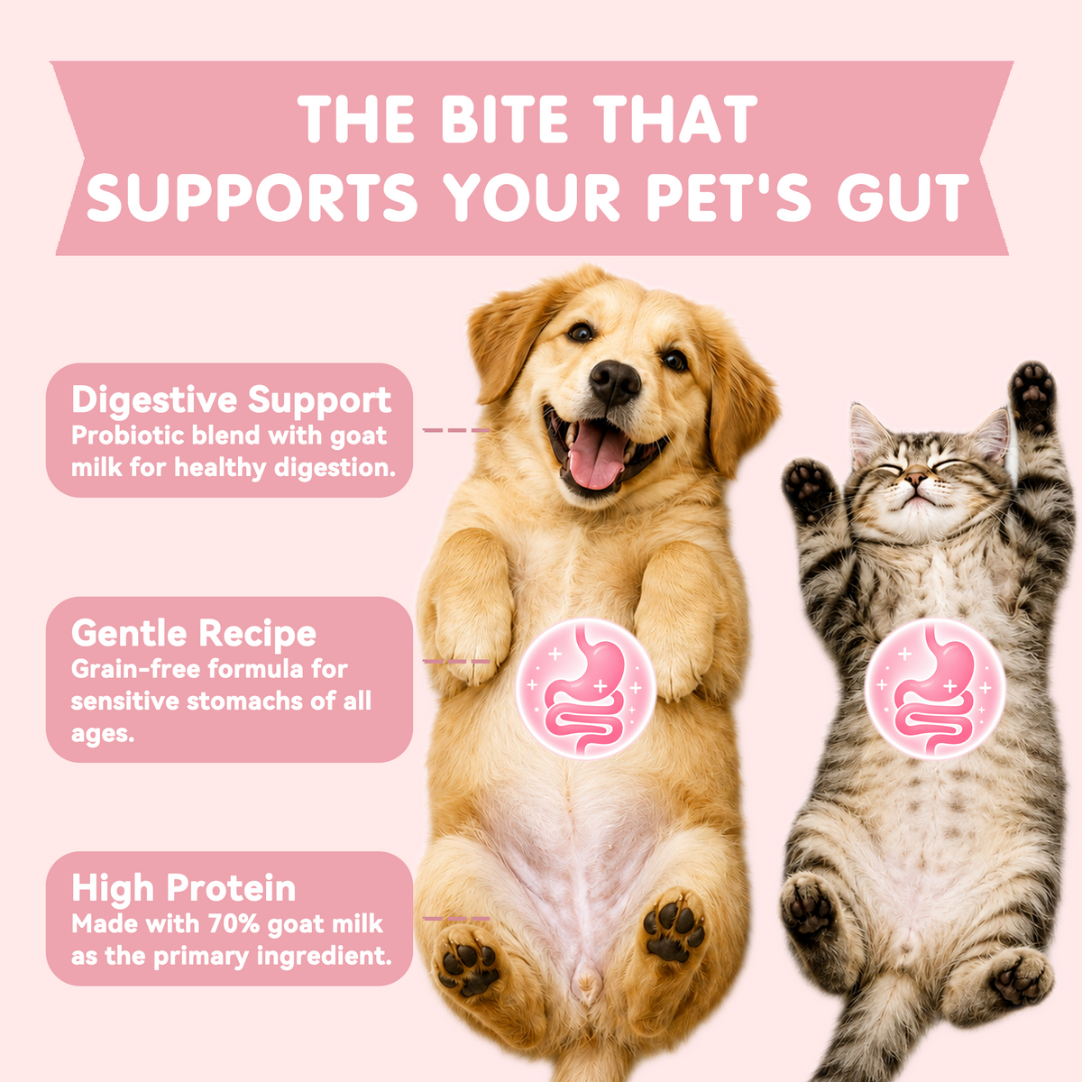 TUGLET Freeze Dried Goat Milk Gut Health Biscuit Dog & Cat Treat, Three Probiotics, Digestive Support, Low Fat Healthy Treats for All Breeds & Sizes, 5.3 oz Bag