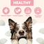 TUGLET Freeze Dried Goat Milk Gut Health Biscuit Dog & Cat Treat, Three Probiotics, Digestive Support, Low Fat Healthy Treats for All Breeds & Sizes, 5.3 oz Bag