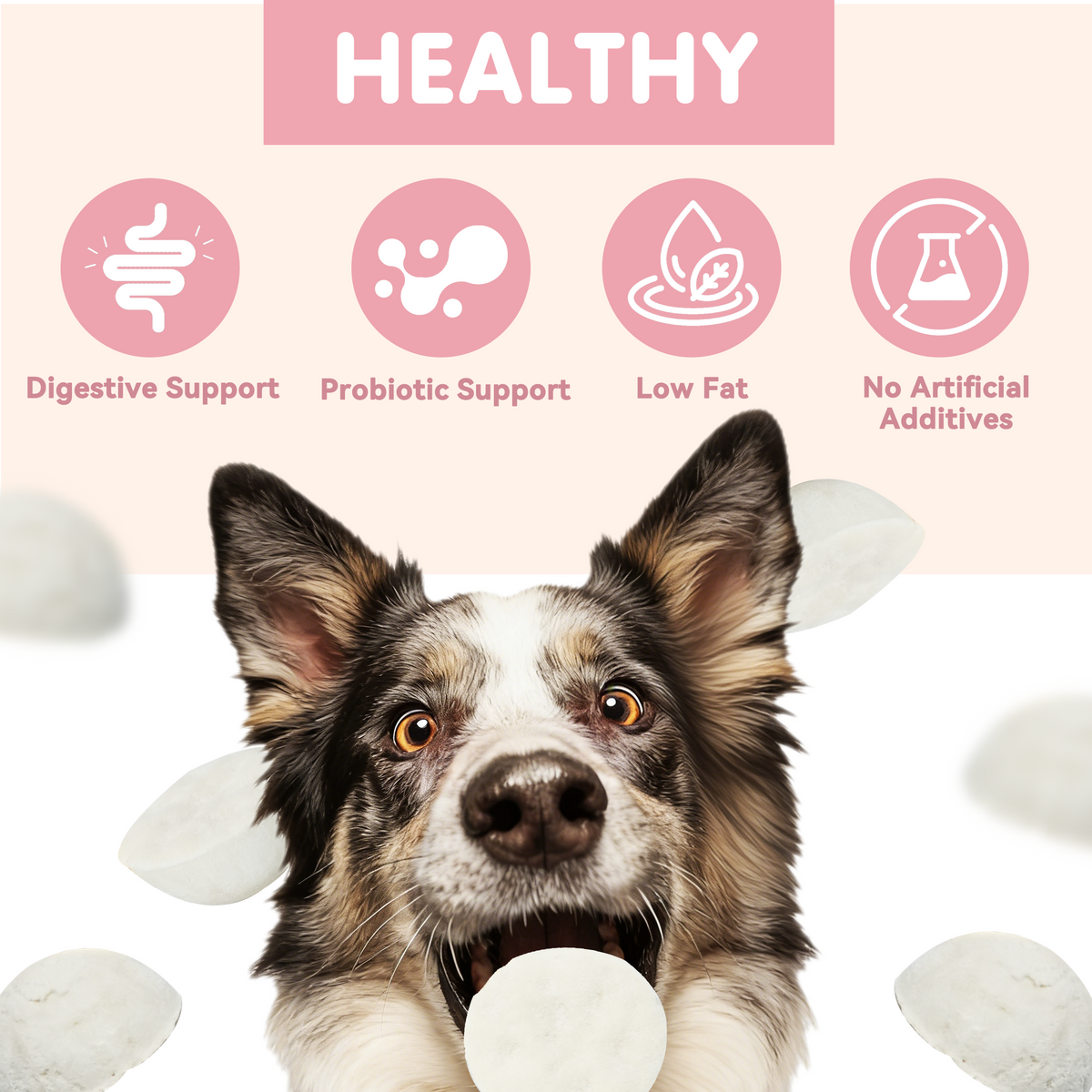 TUGLET Freeze Dried Goat Milk Gut Health Biscuit Dog & Cat Treat, Three Probiotics, Digestive Support, Low Fat Healthy Treats for All Breeds & Sizes, 5.3 oz Bag