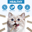 TUGLET Freeze Dried Dental Chew Sticks Cat Treat, Teeth Cleaning & Fresh Breath, 91% Chicken, High Protein & Low Fat Treats for All Cat Sizes, 5.47 oz Bag